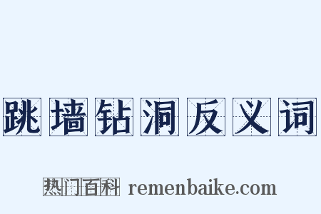 跳墙钻洞反义词是什么意思的图片